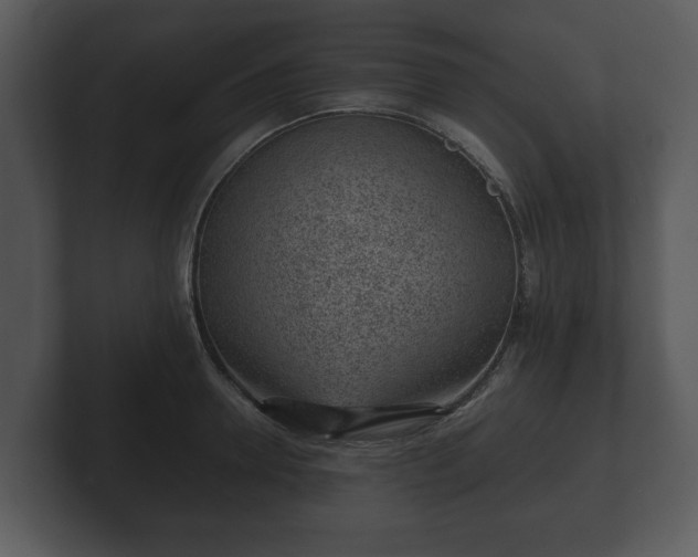 X0000103160946200808291447