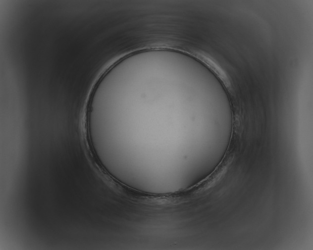 X0000103160948200808291447