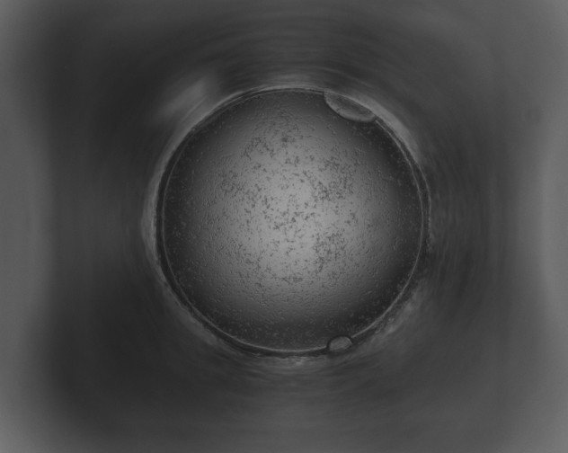 X0000103160949200808291447