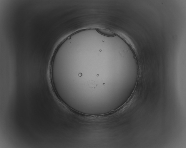 X0000103160952200808291447