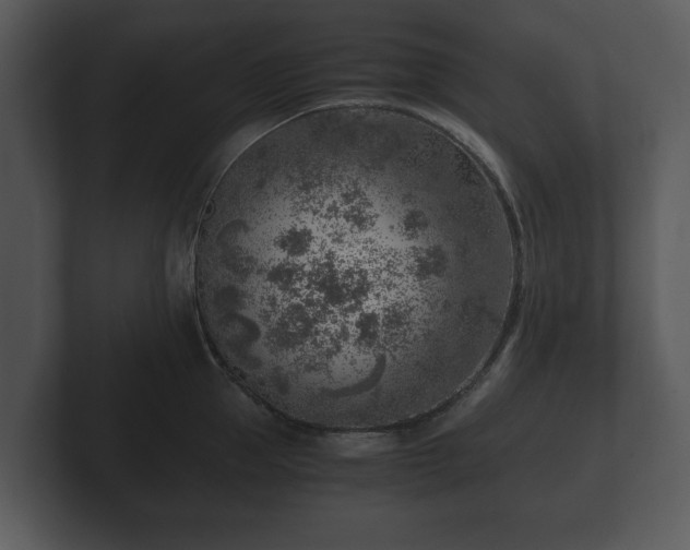 X0000103160953200808291447