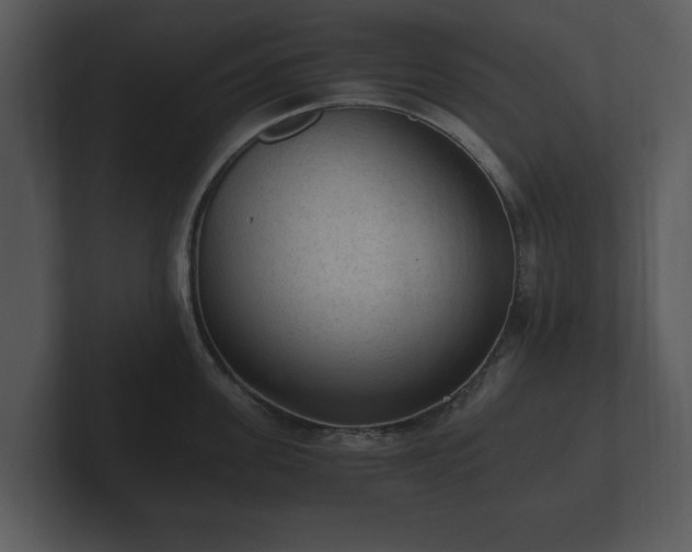 X0000103160955200808291447