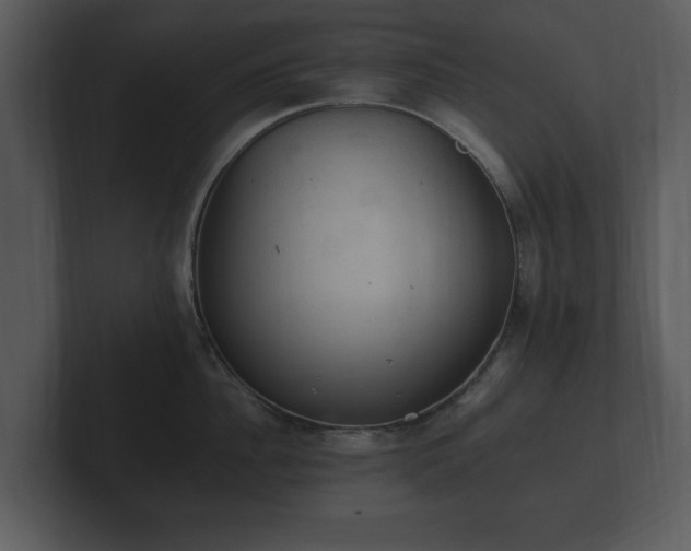 X0000103160956200808291447