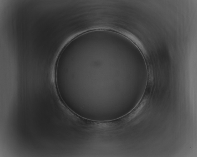 X0000103160958200808291447