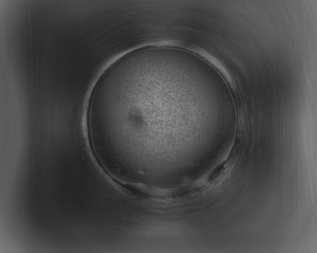 X0000103160959200808291448