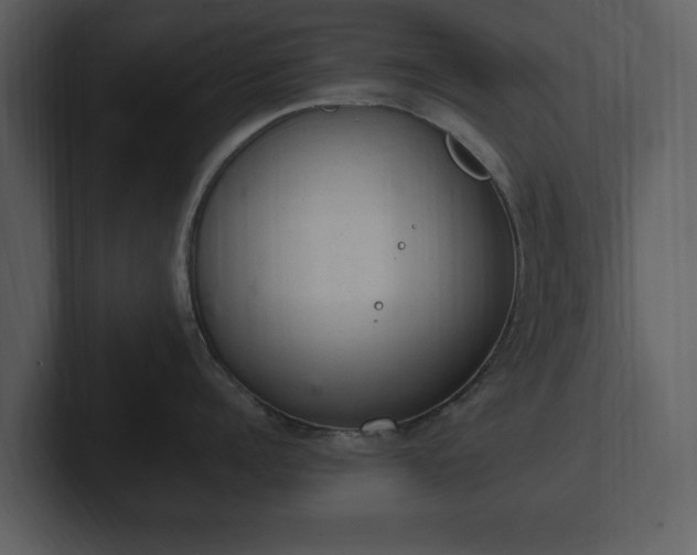 X0000103160960200808291448