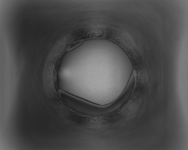 X0000103160961200808291447