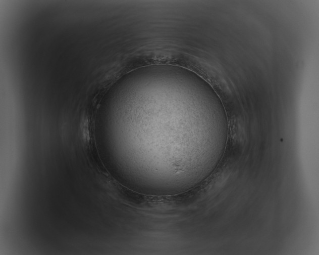 X0000103160962200808291447