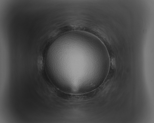 X0000103160963200808291447