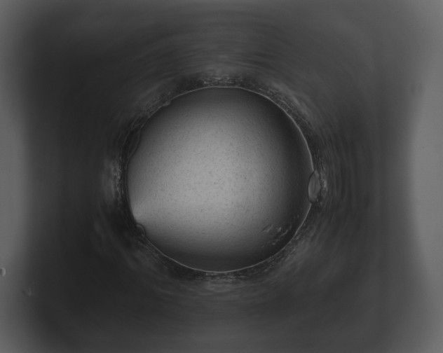 X0000103160964200808291447