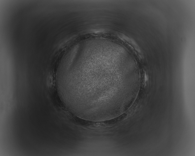 X0000103160966200808291447