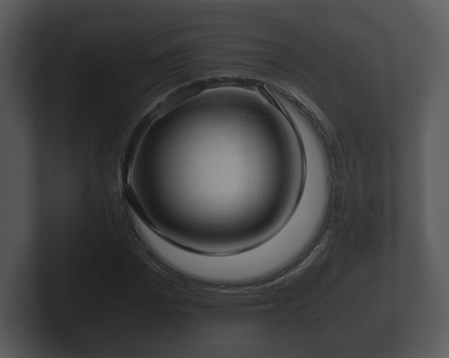 X0000103160969200808291447