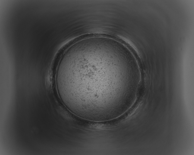 X0000103160971200808291447