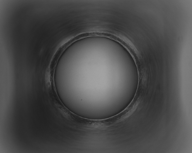 X0000103160974200808291447
