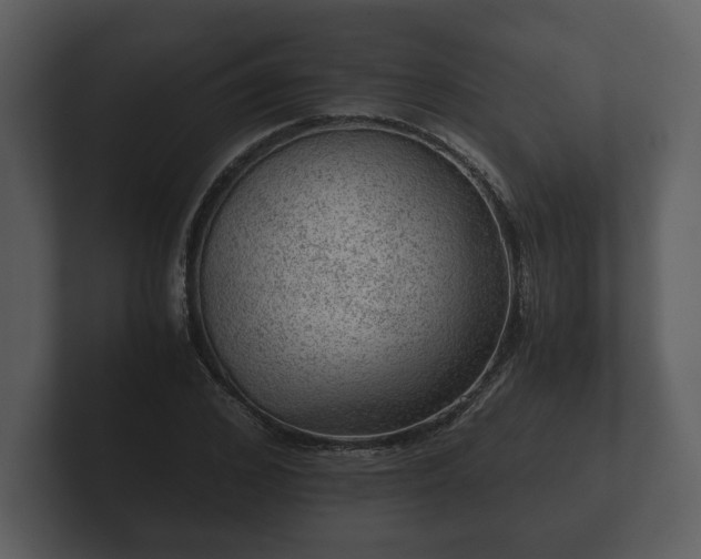 X0000103160976200808291447