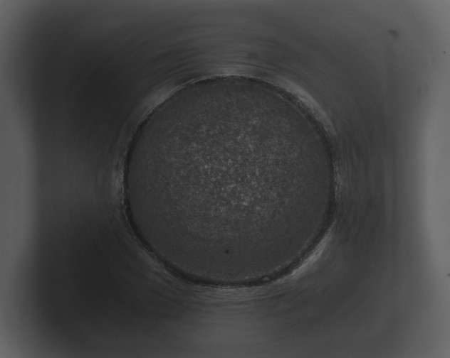 X0000103160977200808291447