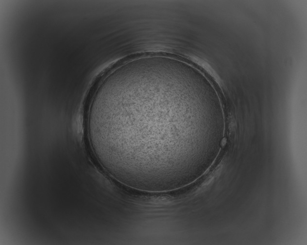 X0000103160979200808291447