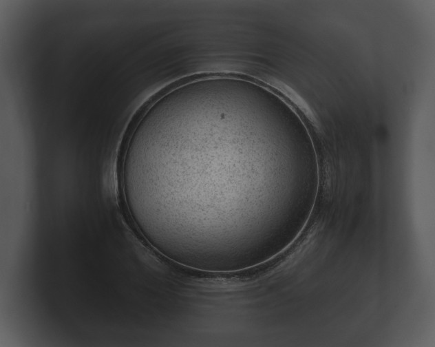 X0000103160980200808291447