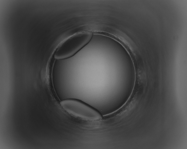 X0000103160981200808291447