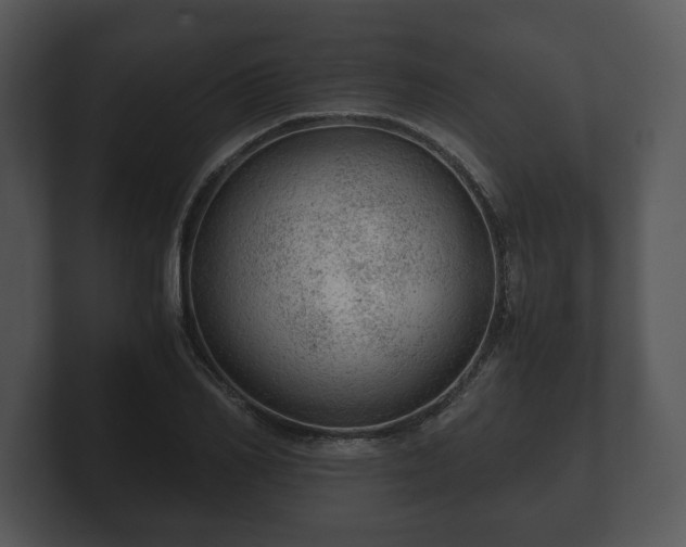 X0000103160982200808291447