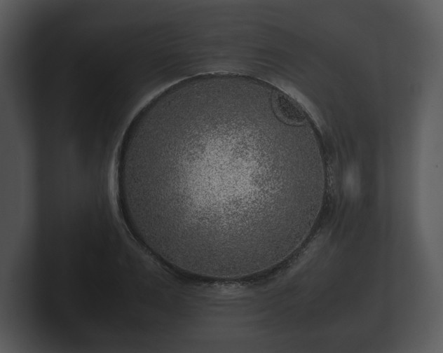 X0000103160983200808291447