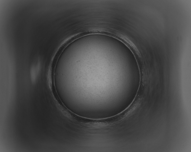 X0000103160984200808291447