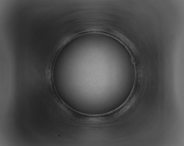 X0000103160985200808291447