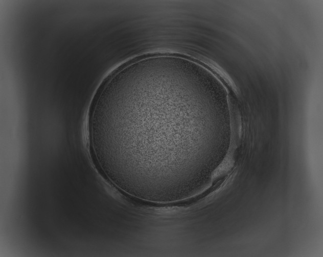X0000103160988200808291447