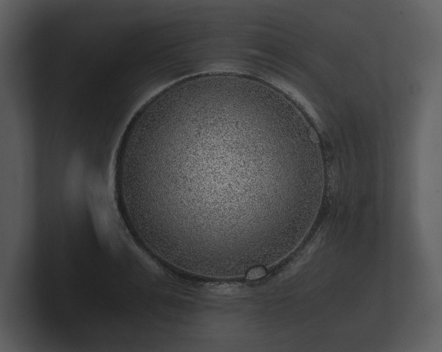 X0000103160991200808291447