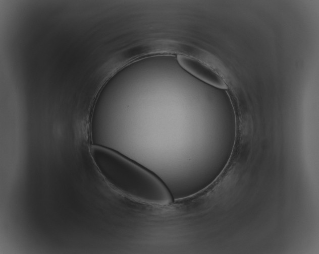 X0000103160993200808291446