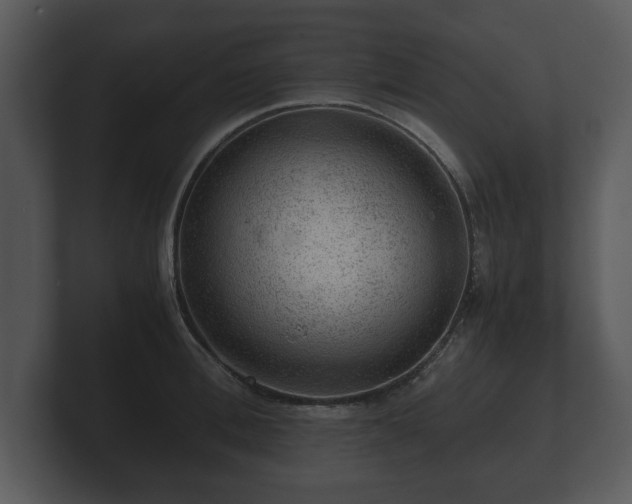 X0000103160996200808291446