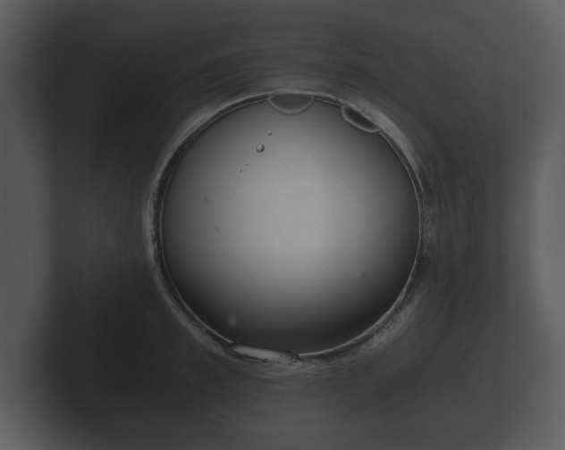 X0000103160997200808291446