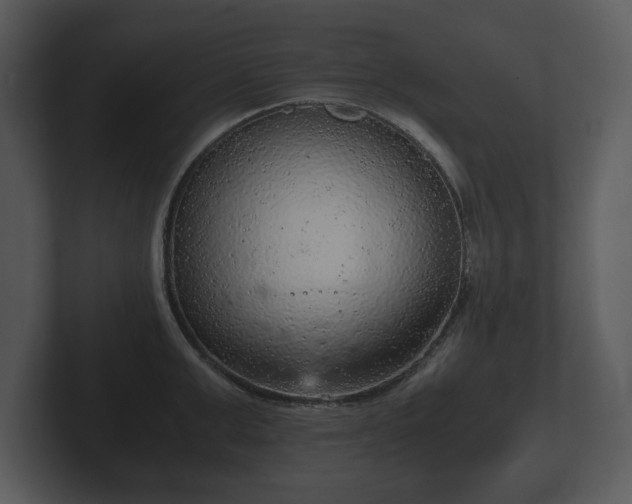 X0000103160999200808291446