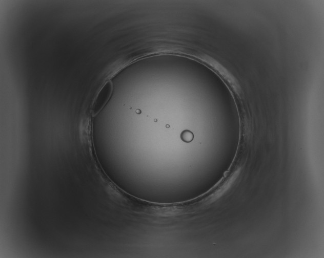X0000103161001200808291446
