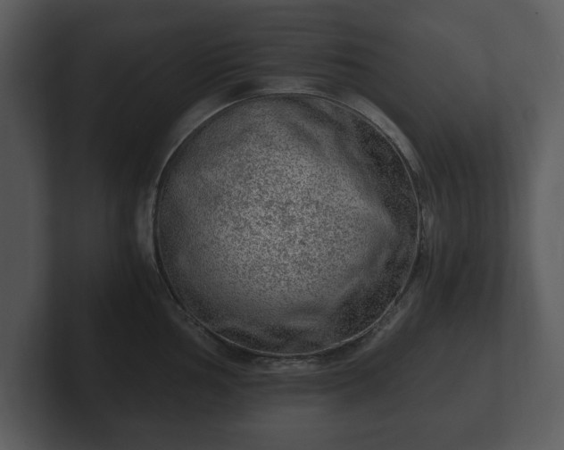 X0000103161002200808291446