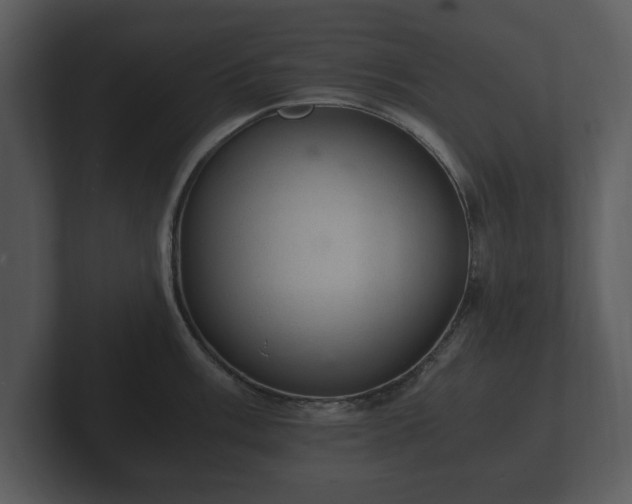 X0000103161003200808291446