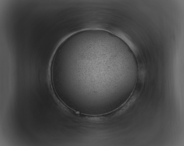 X0000103161004200808291446