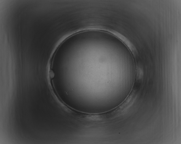 X0000103161006200808291446