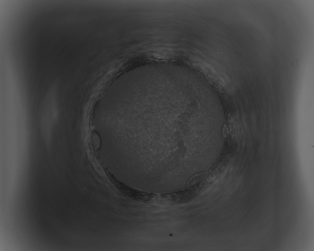 X0000103161009200808291445