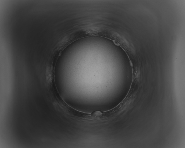 X0000103161012200808291446