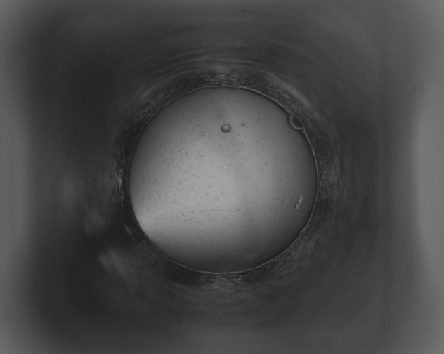 X0000103161013200808291446