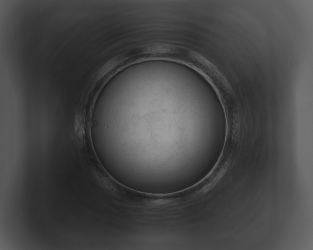 X0000103161017200808291446