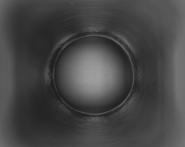 X0000103161018200808291446