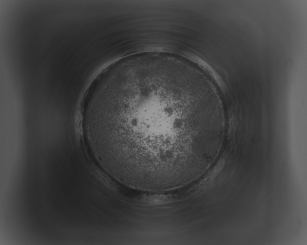 X0000103161019200808291446