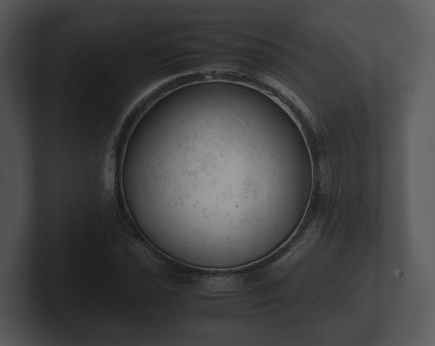 X0000103161021200808291446
