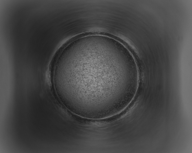X0000103161022200808291446