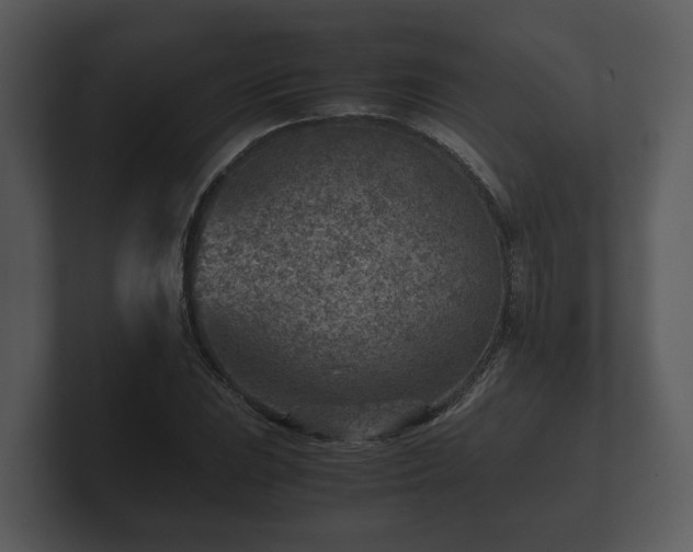 X0000103161023200808291446