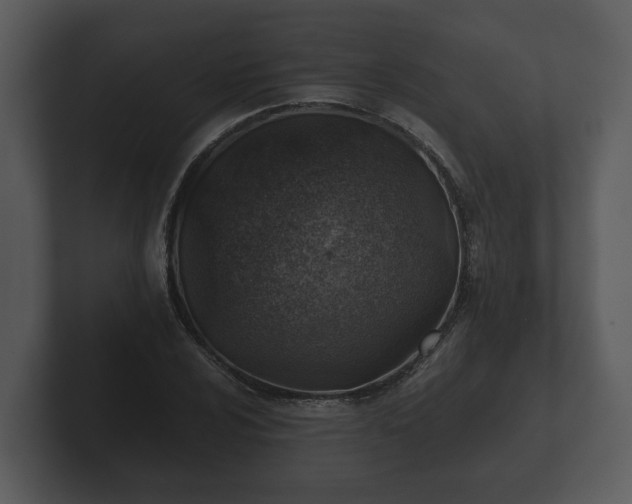 X0000103161024200808291446
