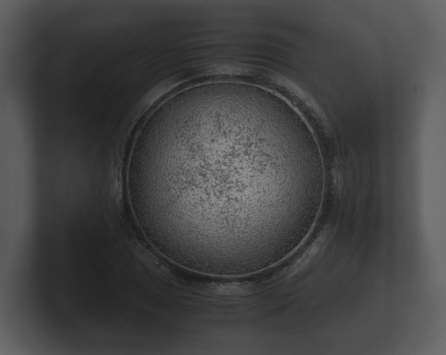 X0000103161025200808291446