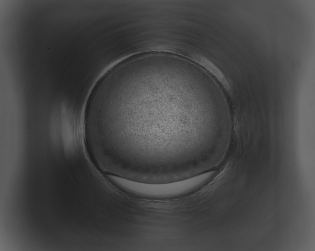 X0000103161028200808291446